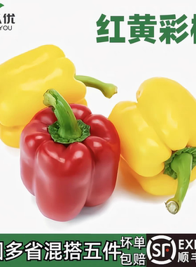 新鲜蔬菜红黄彩椒甜圆椒灯笼椒500g绿色清洗生吃蔬菜沙拉食材