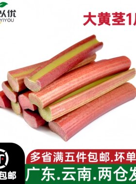 新鲜大黄茎500g 食用大黄Rhubarb低脂蔬菜西餐甜点派糕点沙拉酱果