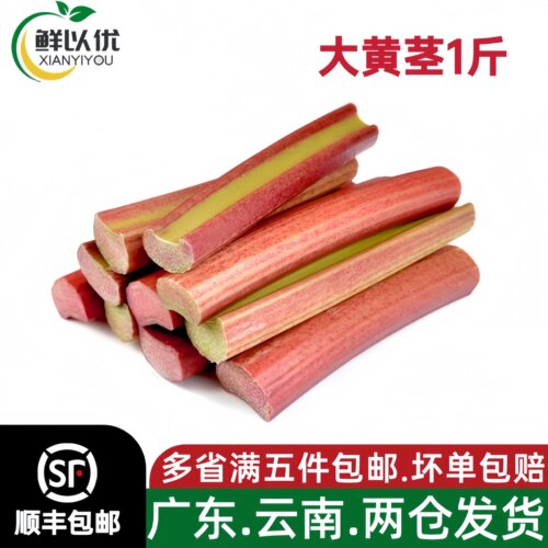 新鲜大黄茎500g 食用大黄Rhubarb低脂蔬菜西餐甜点派糕点沙拉酱果