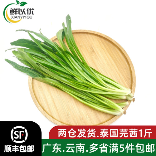 大芫茜新鲜食用泰式香料菜大香菜500g顺丰冬阴功汤调味刺芫茜芫荽