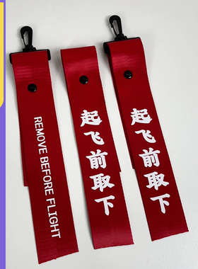 起飞前取下移除飘带拆除钥匙扣战斗机插销大红色航空飞机飞行日志