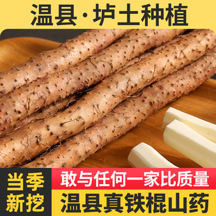 垆土铁棍山药正宗河南焦作温县铁杆淮山怀山药新鲜5斤特级整箱