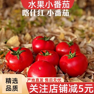 【佳景】新疆喀什红·水果番茄新鲜顺丰包邮