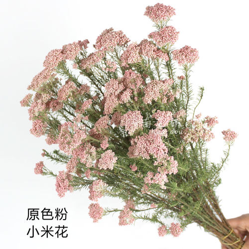 diy原色少女粉高端家居装饰干花