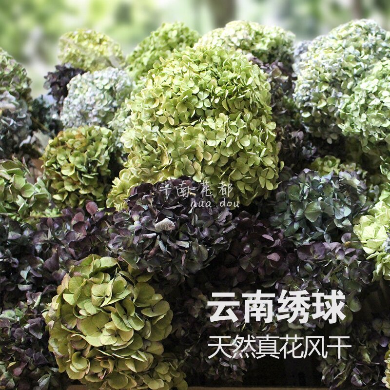 绣球花干花 diy花环壁挂饰品吊顶装饰 复古花瓶摆设 云南直发包邮