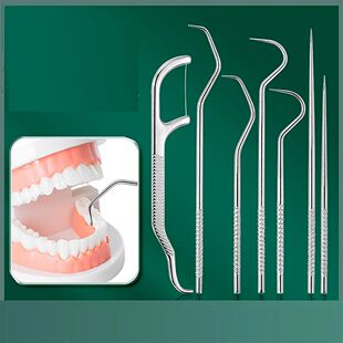 Stainless Steel Toothpick Set Reusable Toothpicks Tooth Flos