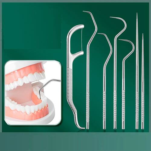 Stainless Steel Toothpick Set Reusable Toothpicks Tooth Flos