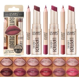 Liner LIPSTICK Matte Color Lipsti Coloring Lip Easy Set