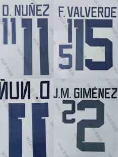 乌拉圭队2022世界杯主场客场印字 多选 巴尔韦德努涅斯 Stilcreen