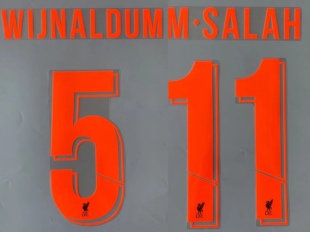 英超利物浦1819赛季客场杯赛印字 荧光橙 内有多选 AveryDennison