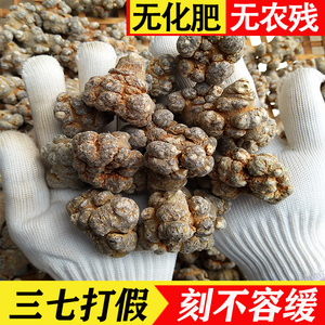 云南文山三七田七特级20二十18头16头25四五六七年药材37粉片块参