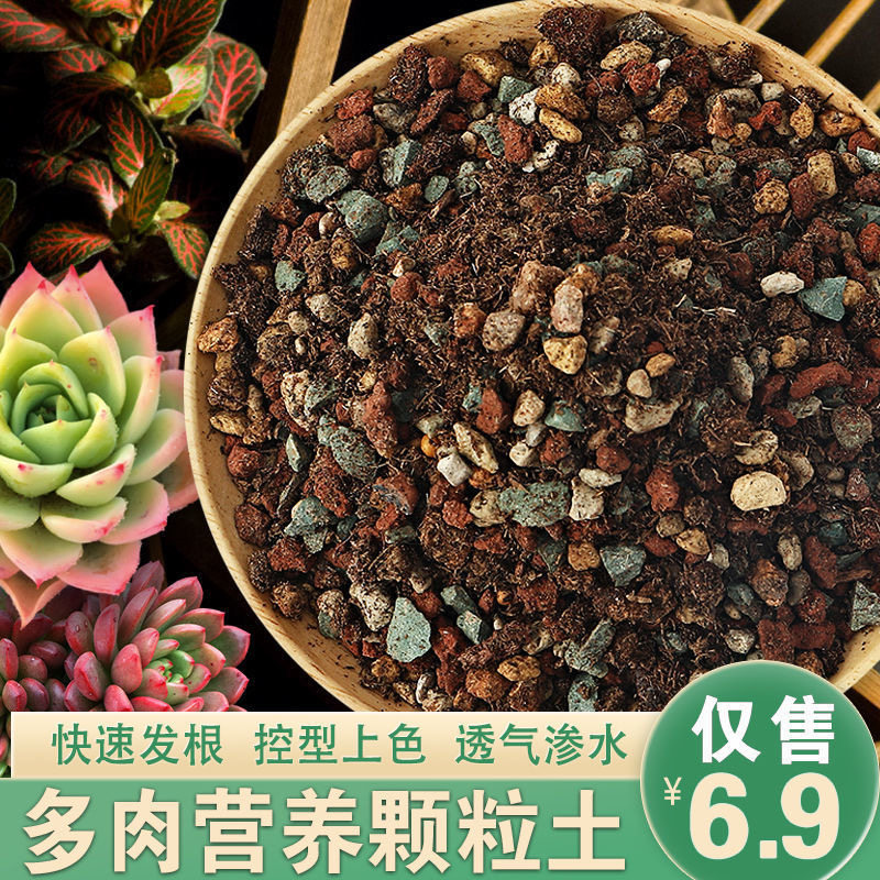 多肉植物营养土进口泥炭土多肉土叶插换盆土多肉专用土纯颗粒铺面