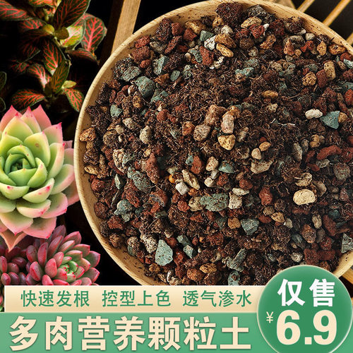 多肉植物营养土进口泥炭土多肉土叶插换盆土多肉专用土纯颗粒铺面