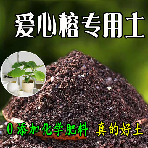 爱心榕专用轻质营养土