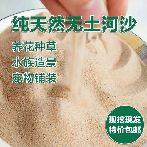 优质天然河沙潮沙子泥土养花粗细沙中沙栽种埋生姜沙姜保鲜存放久