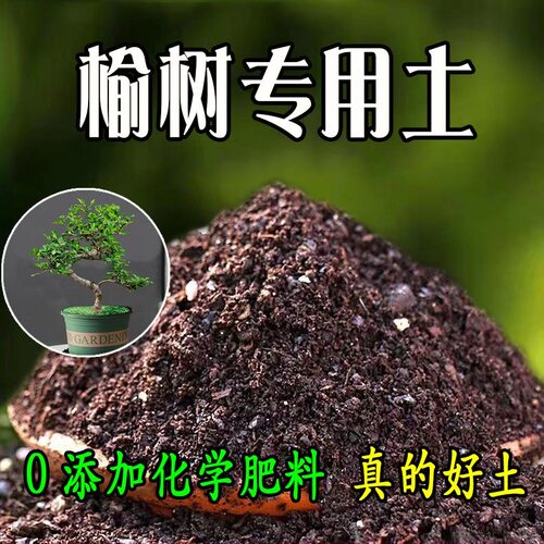 怡林榆树专用有机营养土