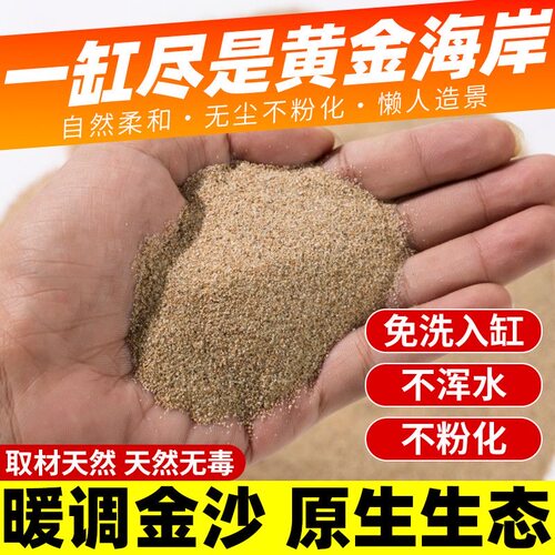 河沙粒精筛粗河砂多肉铺面石君子兰配土颗粒种植养花鱼缸造景底砂