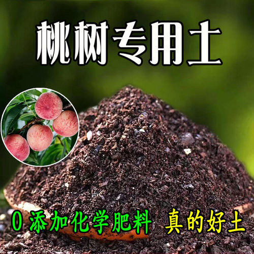 石淙桃树盆栽有机肥促生长