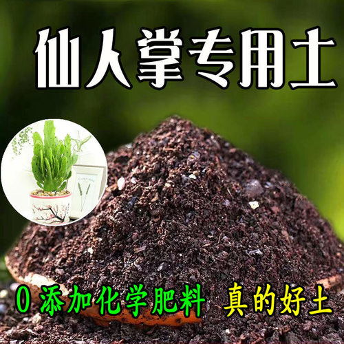 仙人掌营养土蓬松透气通用泥炭土