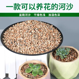 天然河沙河砂沙子养花种植种花实验粗沙细沙黄沙通用营养土消防沙