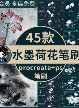 水墨国风荷花莲花花卉传统古典国画装饰插画procreate笔刷ps笔刷