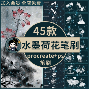 水墨国风荷花莲花花卉传统古典国画装 饰插画procreate笔刷ps笔刷