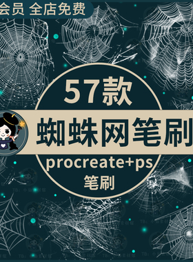 蜘蛛网procreate笔刷ps笔刷蜘蛛网蛛丝黑暗风万圣节气氛装饰网状