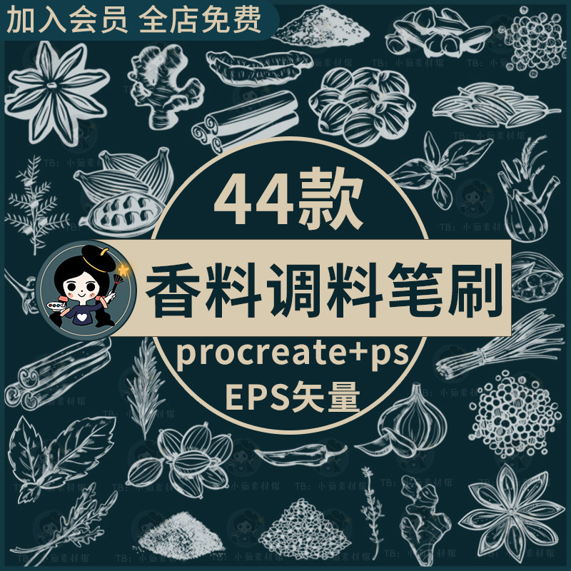 procreate笔刷ps笔刷香料调料葱姜蒜八角桂皮手绘线稿上色ai矢量