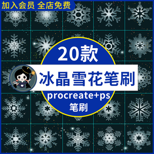 procreate笔刷ps笔刷冰晶雪花冬天雪景冰霜手帐装饰飘雪下雪水印