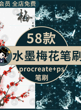 中国风水墨梅花腊梅花枝传统古风国画图案插画procreate+ps笔刷