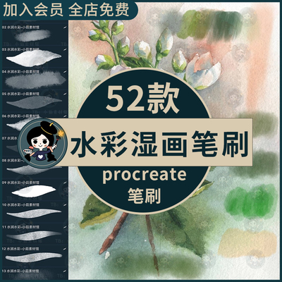 procreate笔刷水彩湿画水润淡彩晕染淡墨厚涂水墨手绘插画水痕