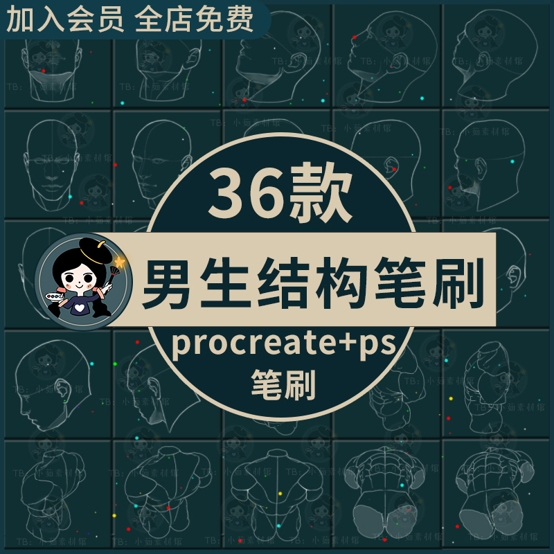 男生动漫人体头像多角度姿势结构线稿辅助线ps笔刷procreate笔刷