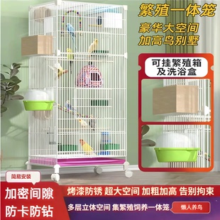 鹦鹉活鸟笼子牡丹玄风文鸟虎皮新型居家专用大别墅亚克力观赏豪华