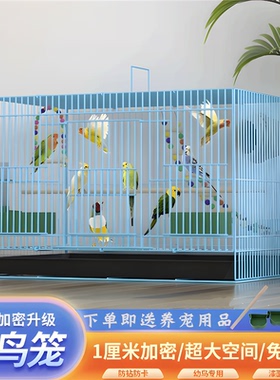 2024新款鸟笼大号折叠鸽子鹦鹉小鸟虎皮玄凤画眉新型生态豪华别墅
