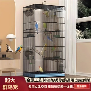 鹦鹉活鸟笼子新型小鸟笼大号特大虎皮玄凤牡丹文鸟专用别墅观赏笼