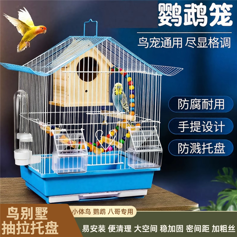 优质手养鹦鹉虎皮文鸟八哥专用