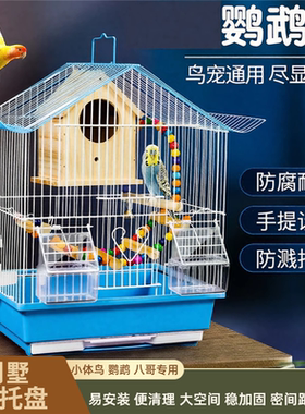 优质手养鹦鹉虎皮文鸟八哥专用