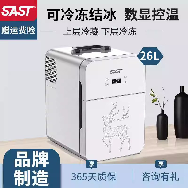 SAST迷你小冰箱小型家用宿舍车载冰箱mini学生小冰柜冷藏冷冻保鲜
