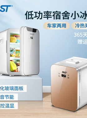 SAST车载迷你小冰箱mini宿舍出租房小型母乳单人用冷藏箱车家两用