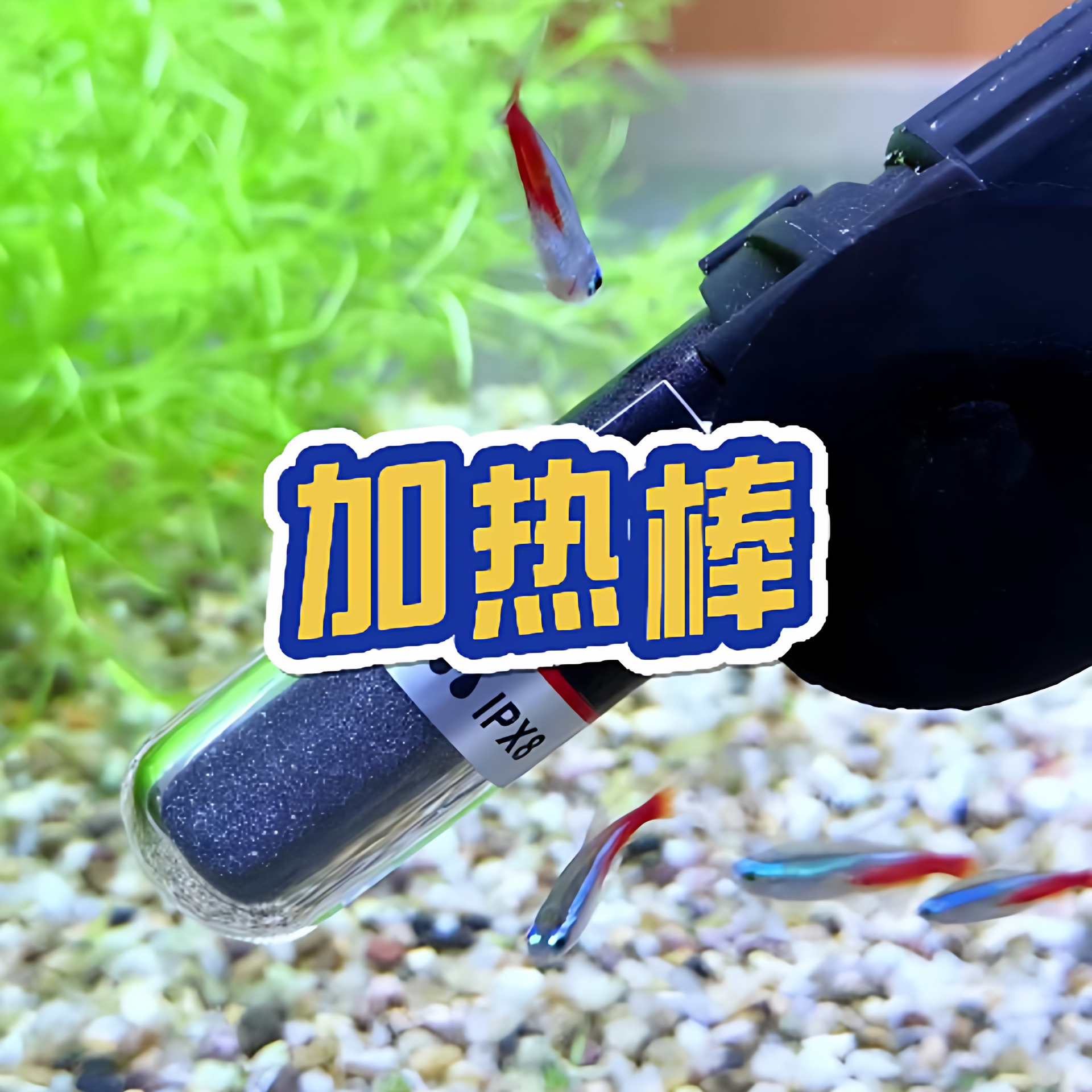 鱼缸加热棒自动恒温迷你宠物饮水机低压加温小型USB恒温器小鱼缸