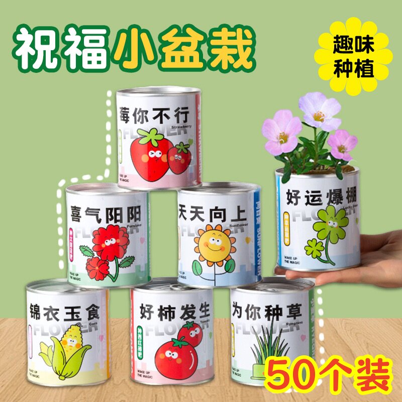 小学生毕业小礼物创意种植盲盒盆栽幼儿园奖励儿童活动生日伴手礼