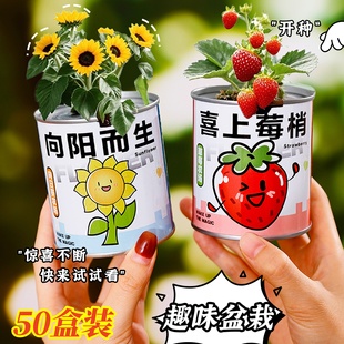 励志趣味种植盆栽幼儿园奖励小礼物儿童开学奖品学生全班分享礼品