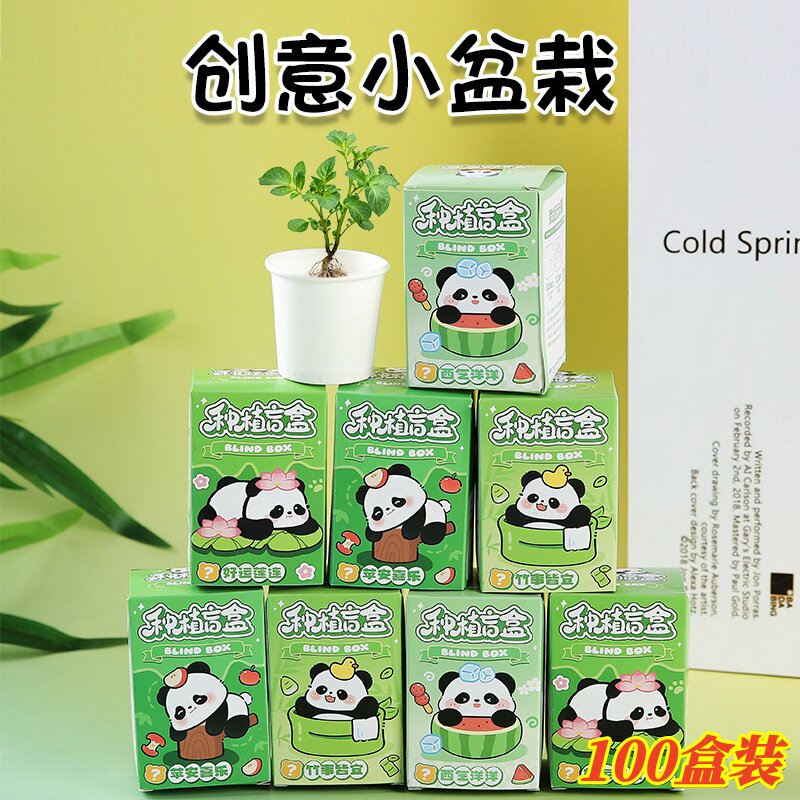 儿童创意小礼品DIY熊猫种植盲盒幼儿园奖励学生小礼物义卖小商品