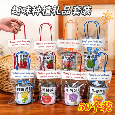 学生奖励小礼品儿童创意种植盆栽盲盒奖品幼儿园全班活动小礼物