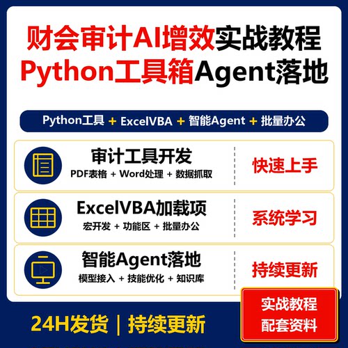 财会审计AI增效实战教程 Python工具箱ExcelVBA智能Agent资料
