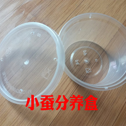 蚕宝宝分养盒子学生养蚕工具保湿不干学校小店花鸟透气饲养盒