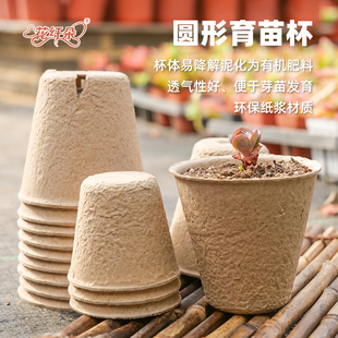 圆形育苗杯透气可降解纸浆育苗盘营养盆环保一次性育种花盆定植盆