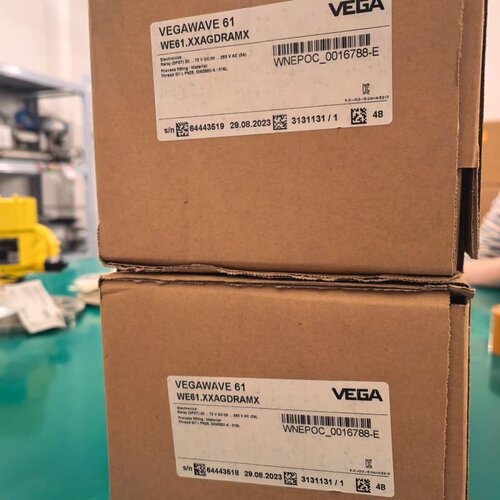 VEGA威格 VEGAWAVE 61音叉，型号WE61.XX--议价商品