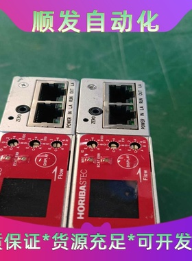 日本HORIBASTECD517MG流量计，300SCC--议价商品