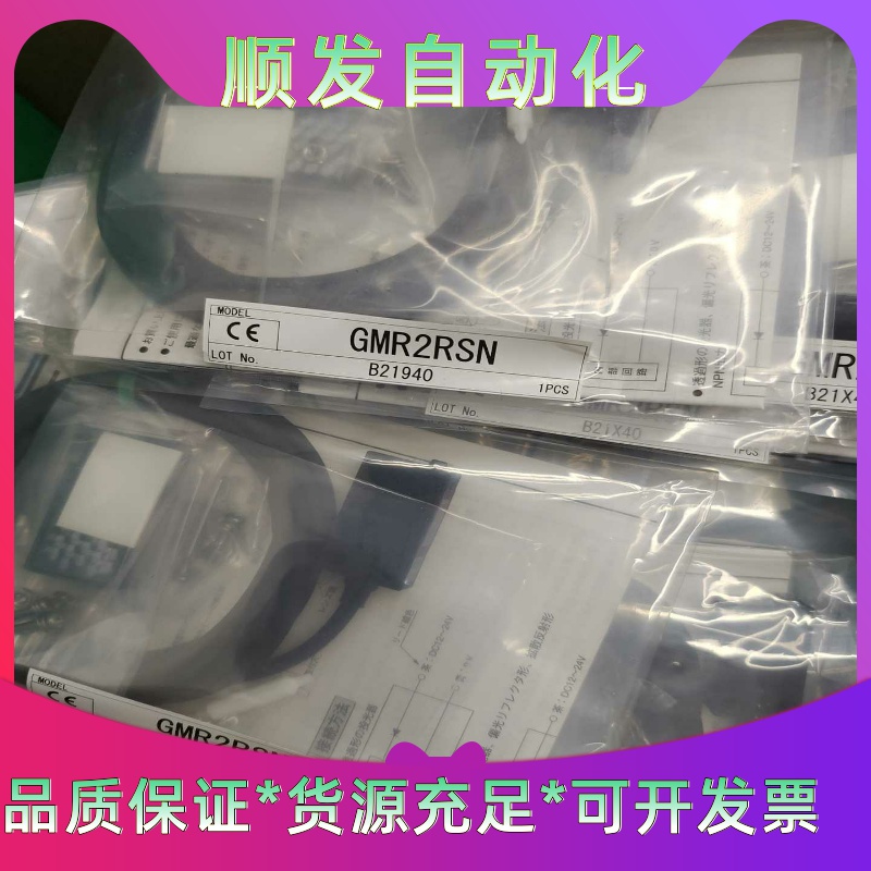 TAKeX日本竹中GmR2RSN一议价商品